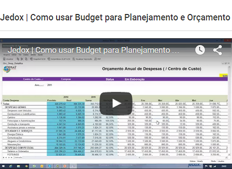 Jedox - Como usar Budget para Planejamento e Orçamento Empresarial no Jedox